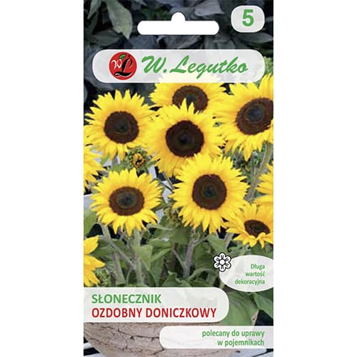 1 g, Slunečnice okrásná v květináči Polino Cola - : Monžstvo balíkov: 1 g