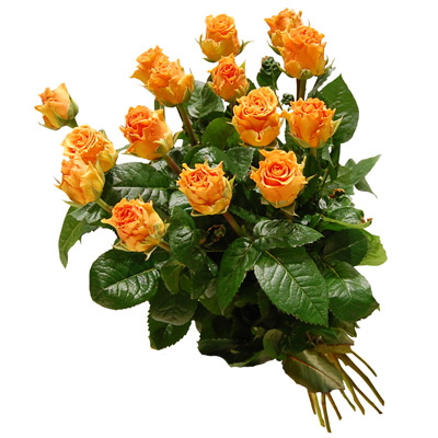 Bukiet 15 herbacianych róż