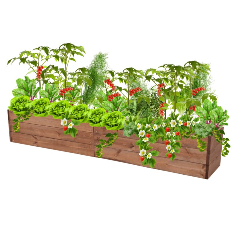 Skrzynia na warzywa MODO24 grządka podwyższona brązowa impregnacja 27x203x30 cm 1 szt.