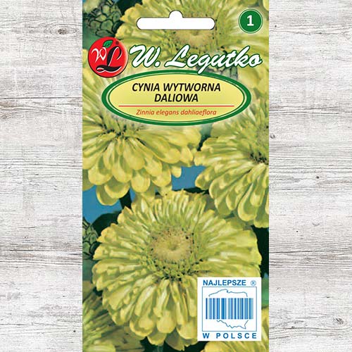 1 pac, Zinnia (Cârciumăreasă) Envy Legutko - Semințe: Mod de ambalare: 1 g