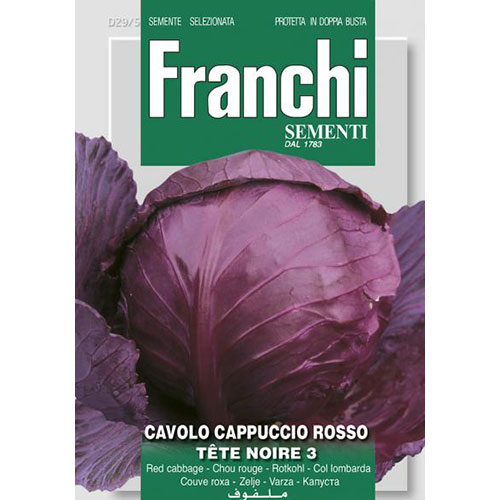 1 pac, Varză roșie Tete Noire 3 - Semințe: Mod de ambalare: 8 g