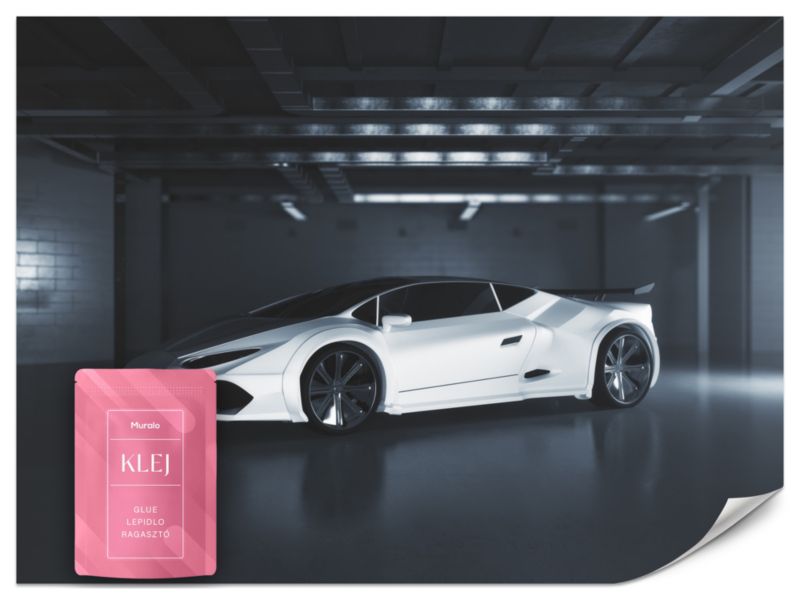 Fototapeta Muralo Białe Sportowe Auto 500x350 cm 1szt.