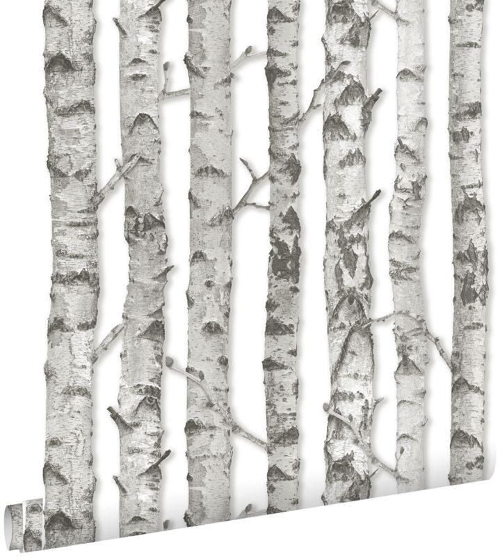 Tapeta ESTAhome pnie brzozy jasna ciepła szarość 53 cm x 10.05 m - 1 rol.