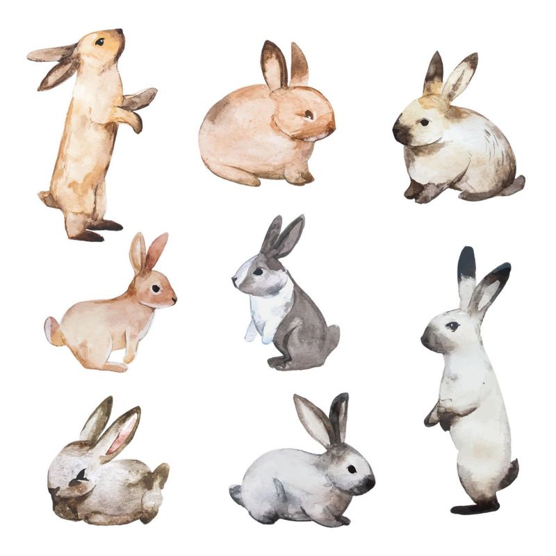 Naklejki Na Ścianę Wallfluent 235x130 cm Króliczki akwarela 1 rol.