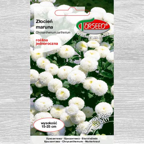 1 szt, Złocień Maruna biały - Nasiona: Ilość w opakowaniu: 0.5 g