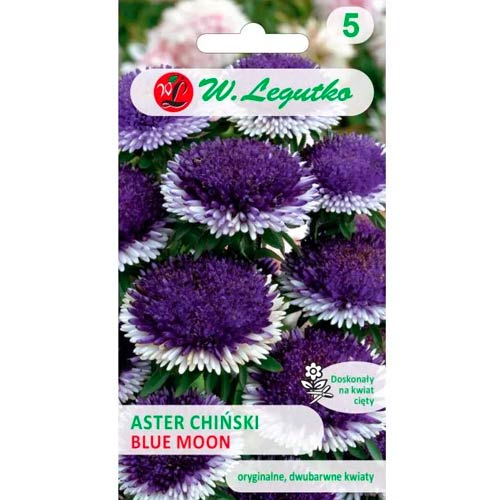 1 szt, Aster pomponowy Blue Moon - Nasiona: Ilość w opakowaniu: 0.3 g