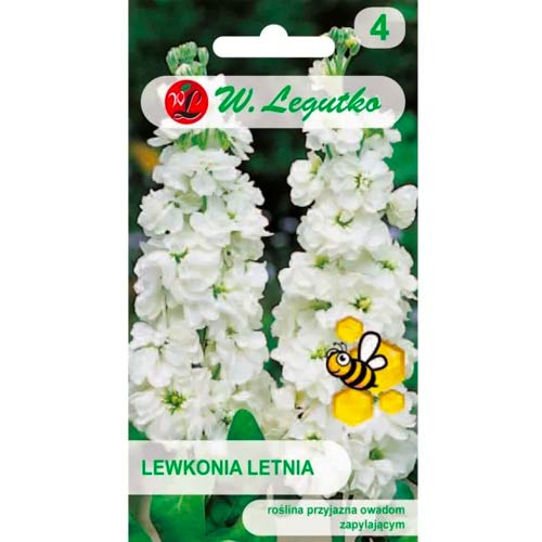 1 szt, Lewkonia Excelsior biała - Nasiona: Ilość w opakowaniu: 0.5 g