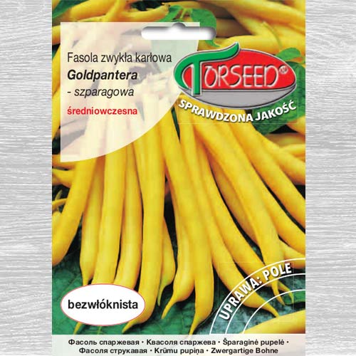 1 szt, Fasola szparagowa żółta Goldpantera - Nasiona: Ilość w opakowaniu: 30 g