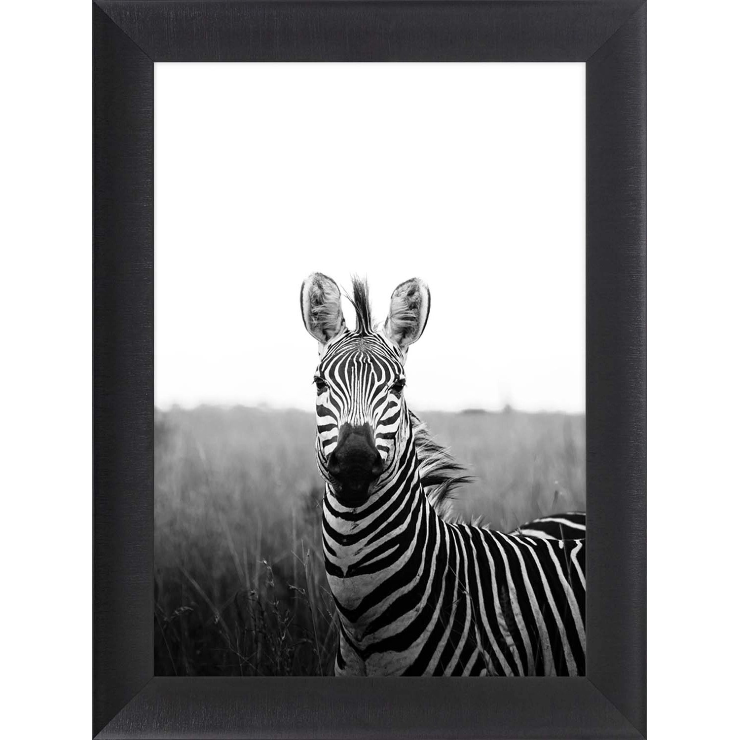 ARS LONGA Obraz INTRIGUING ZEBRA 64 x 84 cm