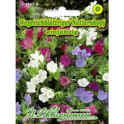 1 pac, Echium plantagineum, mix multicolor - Semințe: Mod de ambalare: 1 pac