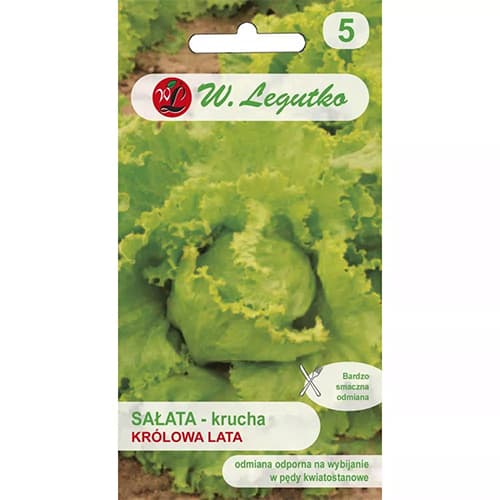 1 pac, Salată de capătână Krolowa Lata - Semințe: Mod de ambalare: 0.5 g