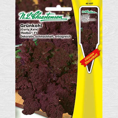 1 pac, Varză kale Redbor F1 - Semințe: Mod de ambalare: 1 pac