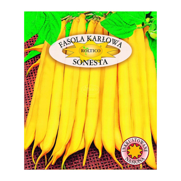 Nasiona Fasola karłowa Sonesta 30g