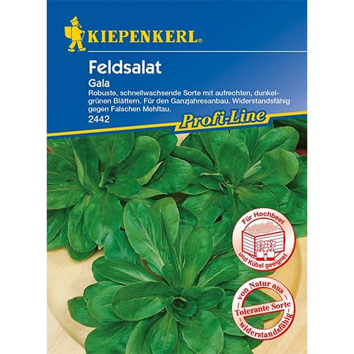 1 szt, Saláta Gala - Magok: Mod de ambalare: 1 db