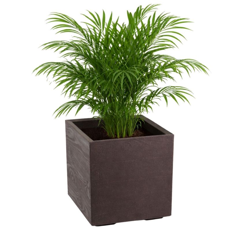 Donica na kółkach Betonique HowHomely brązowy tworzywo sztuczne 40x40x40 cm 1 szt.