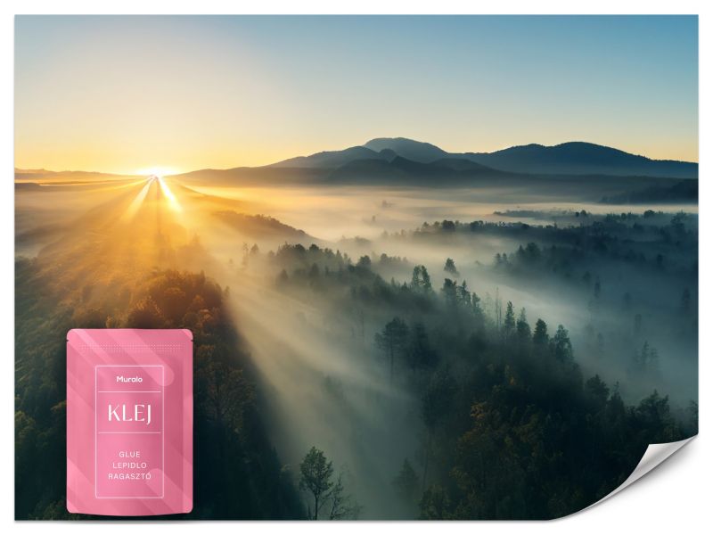 Fototapeta Muralo Wschód Słońca nad Górskim Lasem 500x350 cm 1szt.