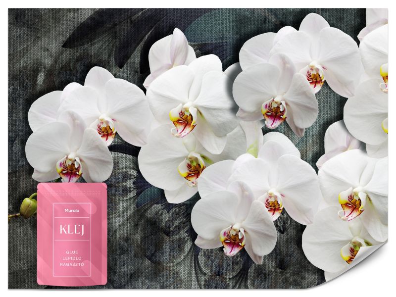 Fototapeta Muralo Białe Storczyki Kwiaty Natura 150x105 cm 1szt.