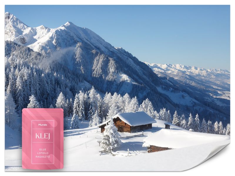 Fototapeta Muralo Zima w Górach 350x256 cm 1szt.