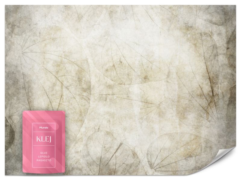 Fototapeta Muralo Liście Beton Abstrakcja 400x280 cm 1szt.