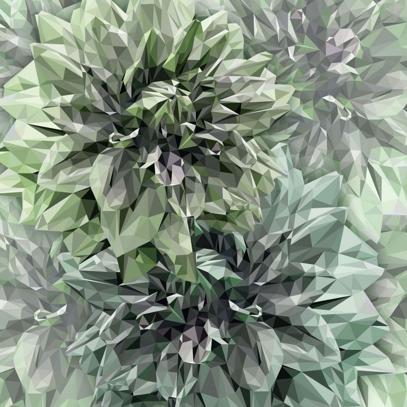 fototapeta Sanders & Sanders artystyczny zielonym 300 x 280 cm - 1 rol.