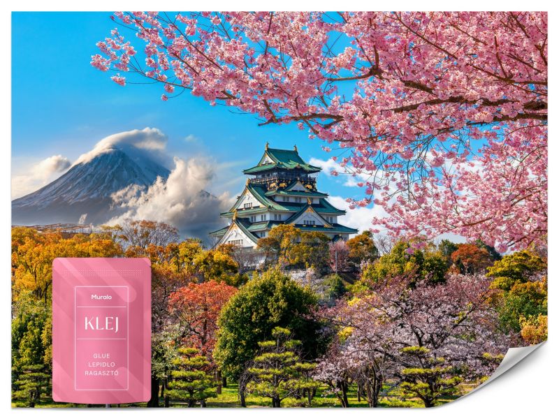 Fototapeta Muralo Japoński Zamek Osaka Kwitnąca Wiśnia 200x140 cm 1szt.