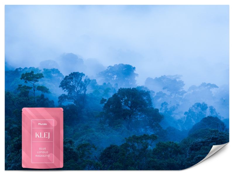 Fototapeta Muralo Las we Mgle Natura 100x70 cm 1szt.