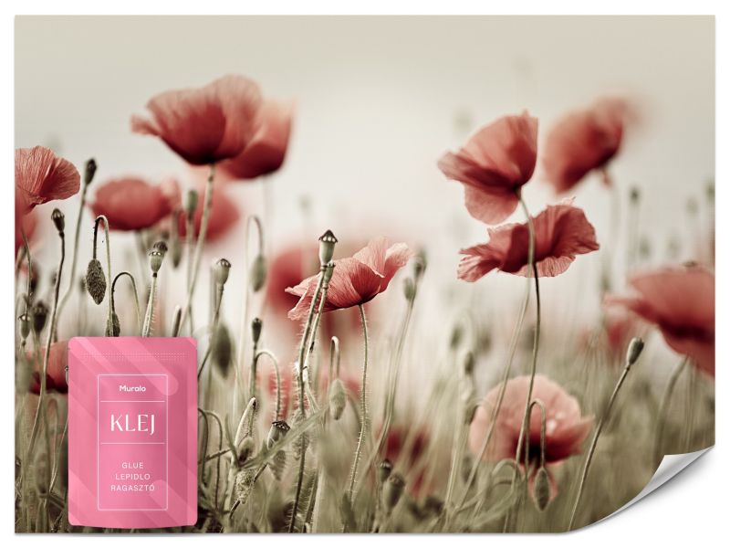 Fototapeta Muralo Delikatne Czerwone Mak 200x140 cm 1szt.