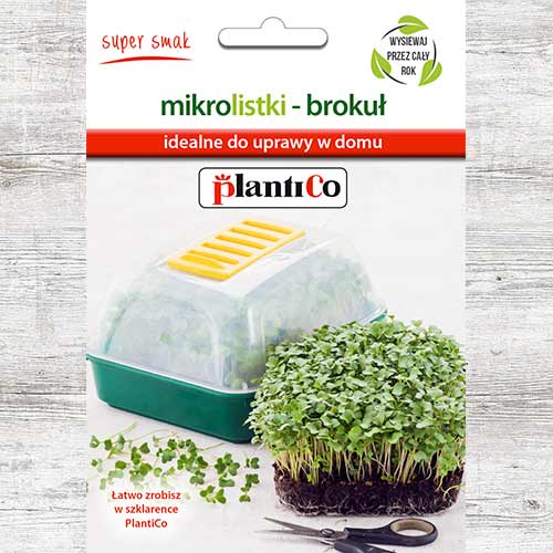 1 szt, Rukola, nasiona na mikrolistki - Nasiona: Ilość w opakowaniu: 1 g