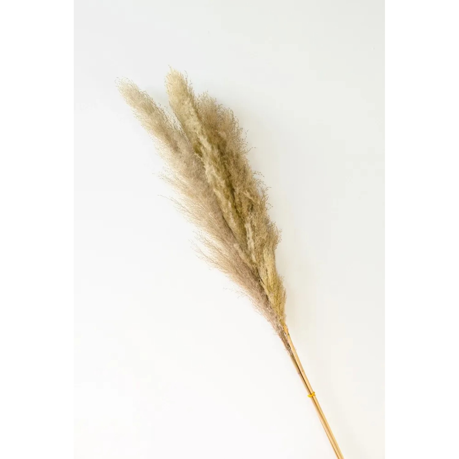 Trawa sztuczna pampasowa 3szt naturalna 115cm