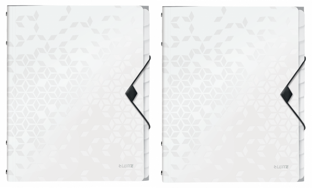 2x Teczka z przegródkami Leitz Wow, A4, 12 przegródek, biały