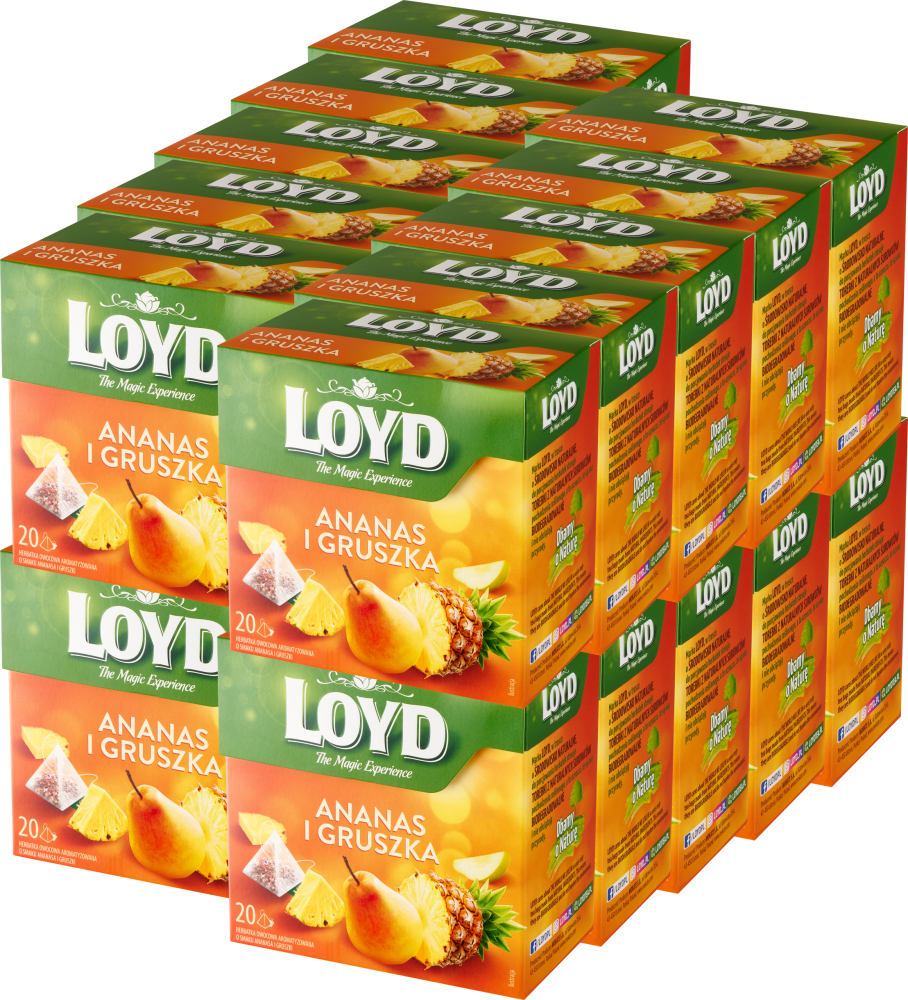 20x Herbata owocowa w piramidkach Loyd, ananas i gruszka, 20 sztuk x 2g