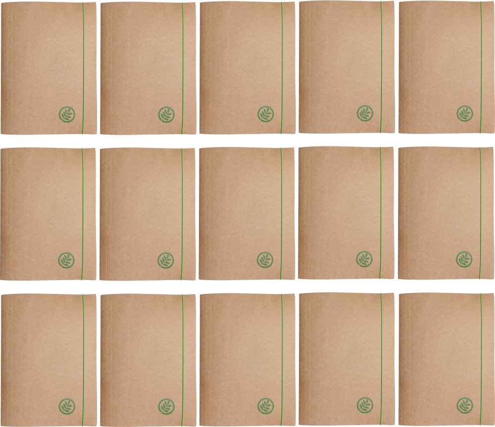 50x Teczka kartonowa z gumką Barbara Eco, A4+, 300g, ziemia