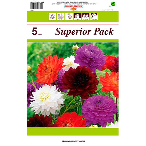 5 buc, Dalie decorativă mix multicolor - Bulbi: Mod de ambalare: 5 buc