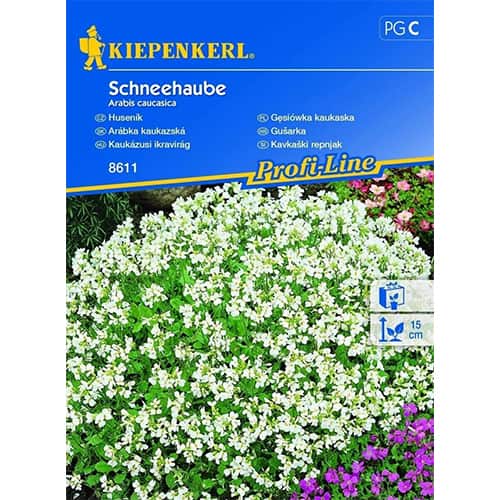 1 pac, Arabis Caucasica (Gâscăriță) - Semințe: Mod de ambalare: 1 pac