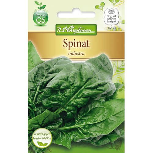 1 pac, Spanac Industra - Semințe: Mod de ambalare: 1 pac