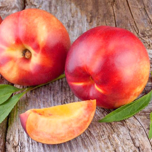 1 buc, Nectarin Gigi - Puieți: Mod de ambalare: 1 buc