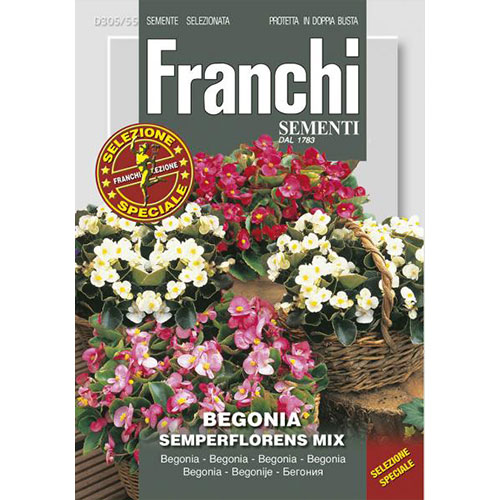 1 pac, Begonie cerată, mix multicolor - Semințe: Mod de ambalare: 0.1 g
