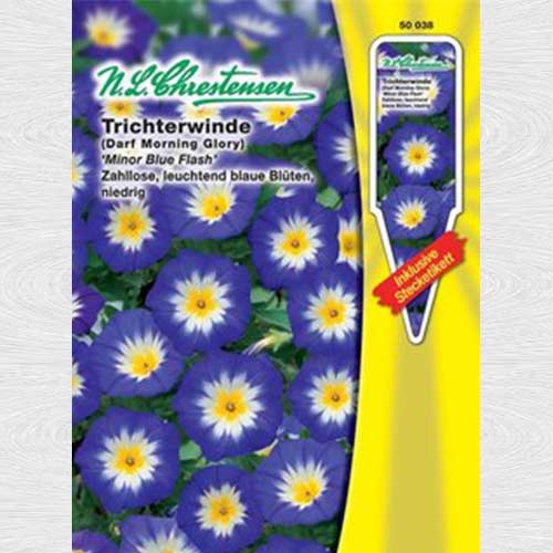 1 pac, Zorele pitice Minor Blue Flash - Semințe: Mod de ambalare: 1 pac