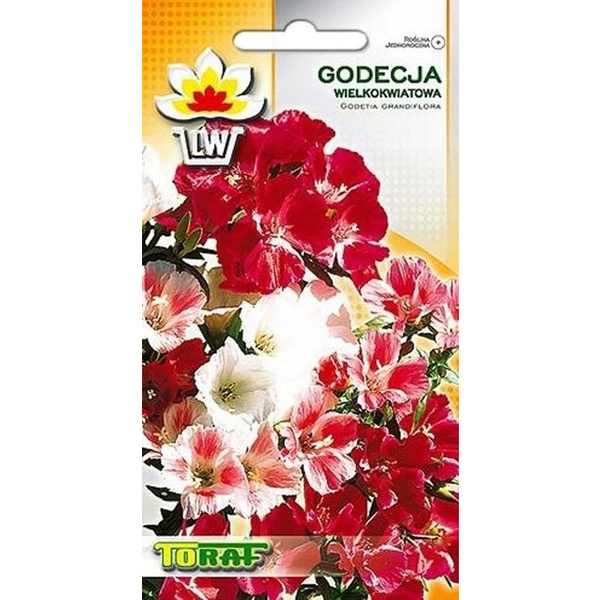 Nasiona Godecja Wielkokwiatowa Mieszanka 1g