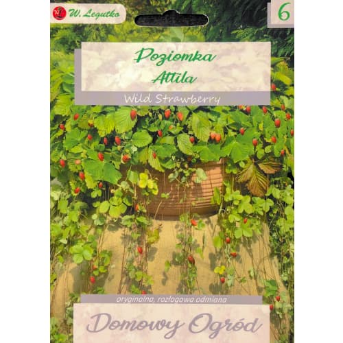 0.1 g, Jahoda lesní Attila - : Monžstvo balíkov: 0.1 g