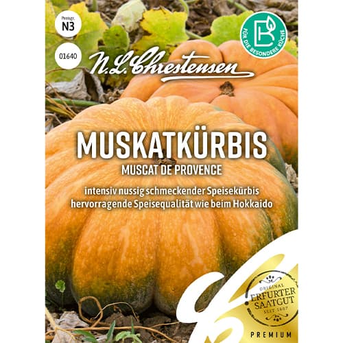 1 ob, Tykev muškátová Muscat de Provence - : Monžstvo balíkov: 1 ob