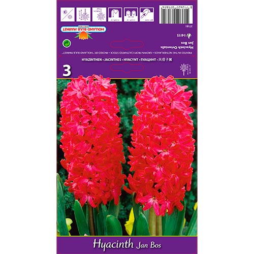 3 kus, Hyacint Jan Bos - : Monžstvo balíkov: 3 kus