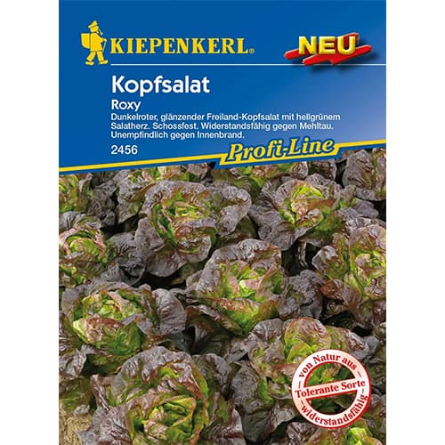 1 szt, Saláta Roxy - Magok: Mod de ambalare: 1 db