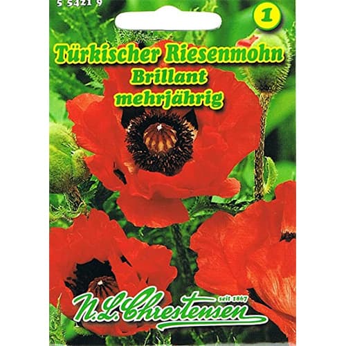 1 szt, Islandmohn Brillant - Samen: Ilość w opakowaniu: 1 Stück