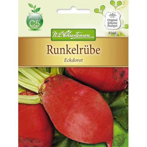 1 szt, Runkelrübe Eckdorot - Samen: Ilość w opakowaniu: 1 Stück