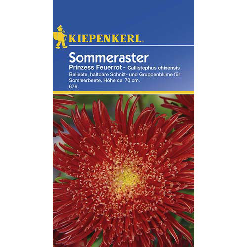 1 szt, Aster Prinzess, rot - Samen: Ilość w opakowaniu: 1 Stück