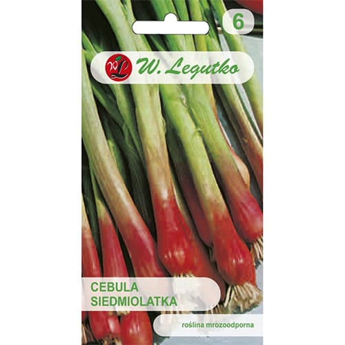 1 szt, Rote Lauchzwiebel Red Toga - Samen: Ilość w opakowaniu: 2 g