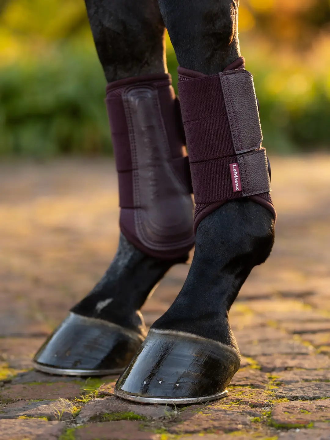 LeMieux LeMieux ochraniacze Arika Mesh Damson