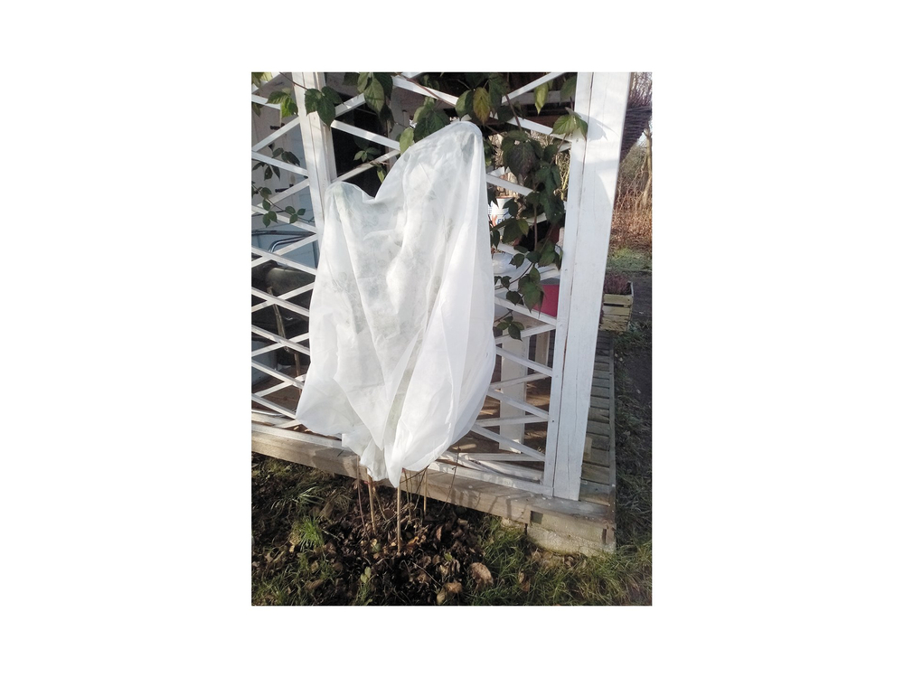 Pokrowiec ochronny przeciwko przymrozkom 120 x 180 cm | 89750