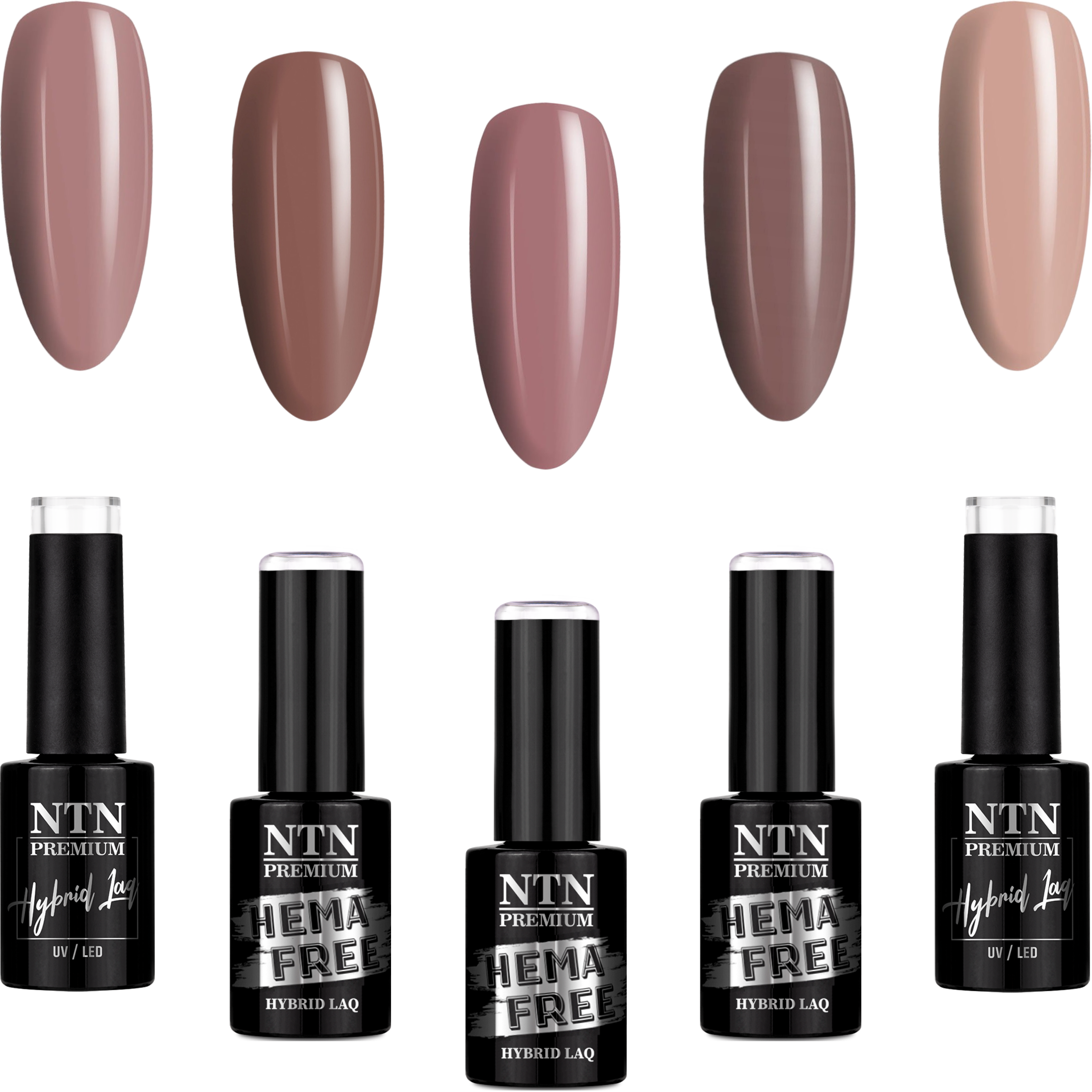 5x Lakier Hybrydowy NTN 5g Brązowy Czekoladowy Beżowy ZESTAW Spring Taupe